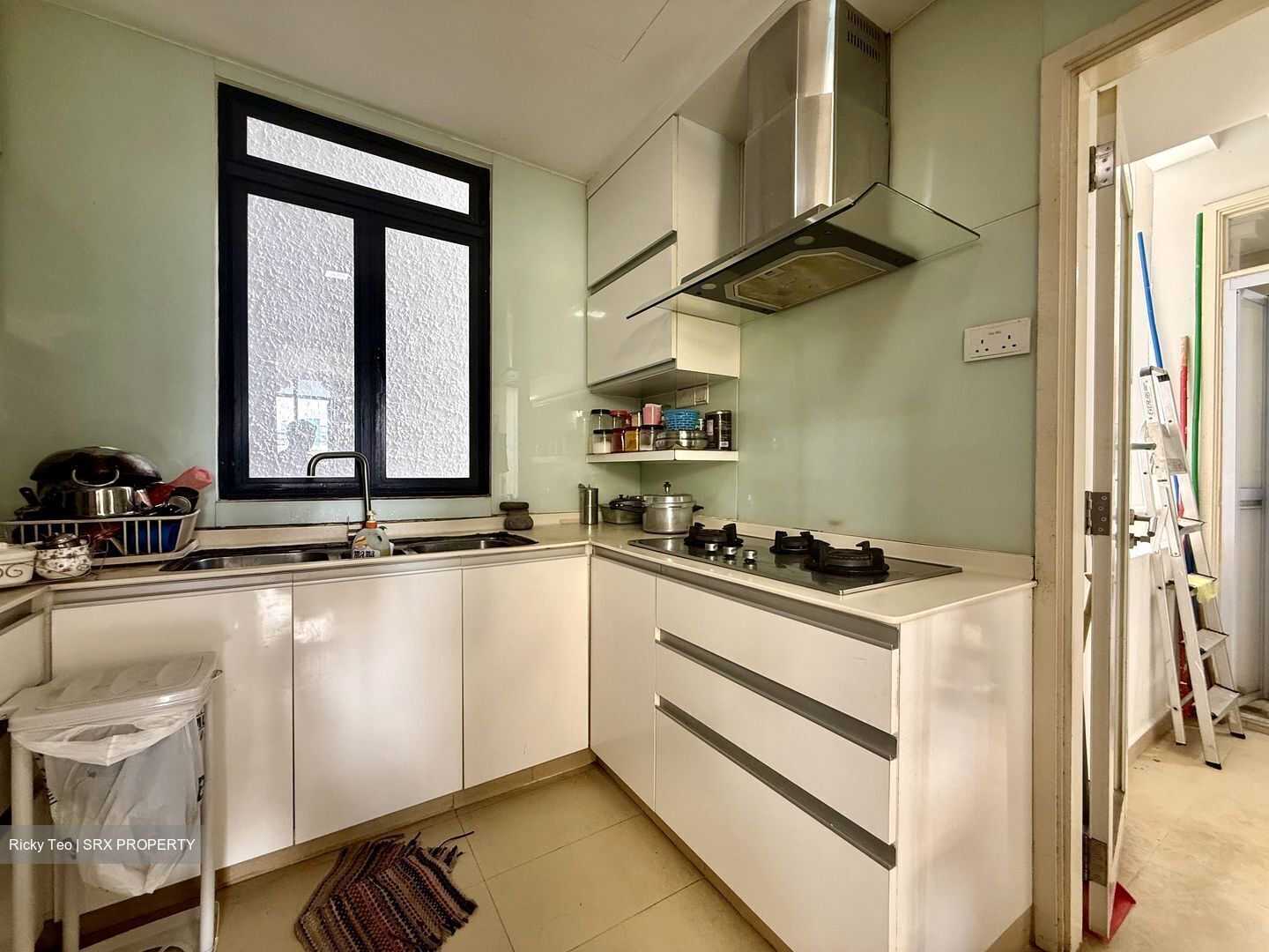 Regent Heights (D23), Condominium #540398061